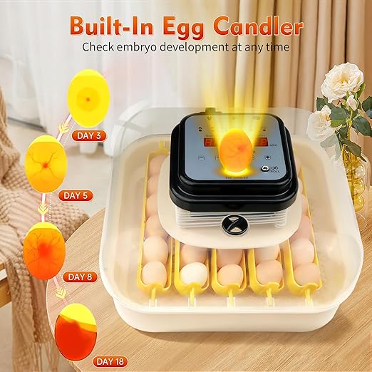 Incubators for Hatching Egg 30 Eggs Automatic Egg Turning & Humidity Control Egg Candler, Digital Temperature Display, Humidity Control&Alarm, Auto Water Chicken Quail Hatcher 110V/12V Dual Power