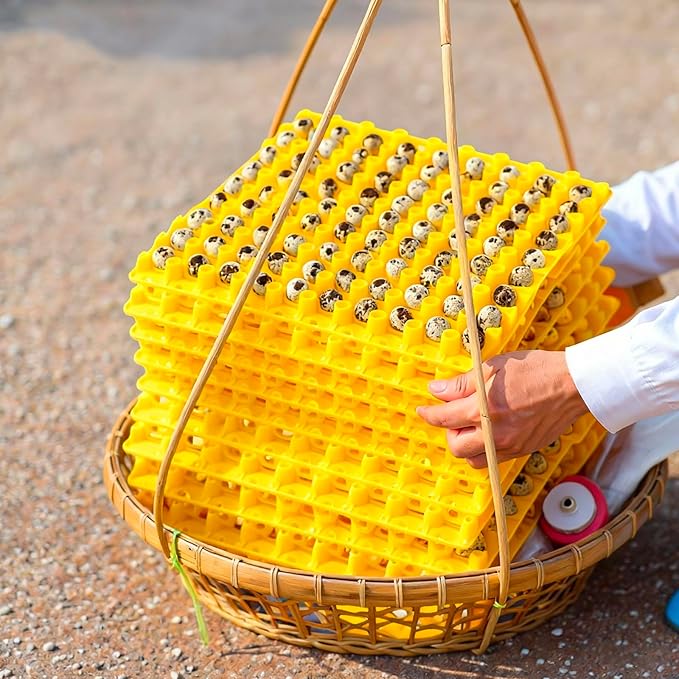 10 Pcs 90 Egg Plastic Trays Quail Egg Flats Holder for Quail Pigeon Dove Bird Flat Carton (Yellow)