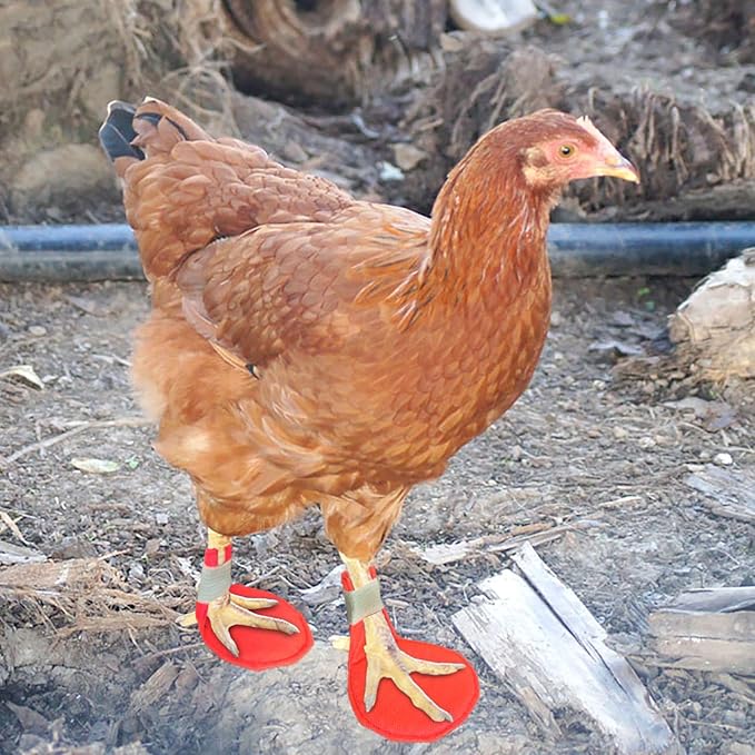 2 Pack Chicken Splint Chicken Leg Splint for Hen Broken Feet Curled Toes Roosters
