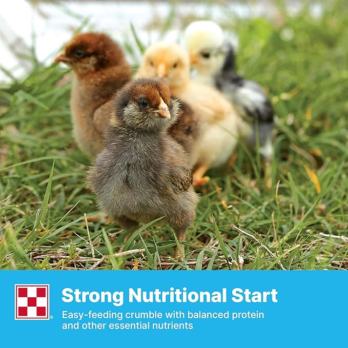 Purina® Farm to Flock® 20% Starter Chick Food, 10 Pound Bag