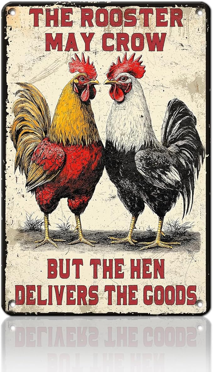Funny Chicken Signs The Rooster May Crow But The Hen Delivers The Goods Aluminium Sign Metal Chicken Signs Decor Home Ktichen Farm Are Wall 12x16 Inch Vintage Chicken Signs Metal Tin Poster