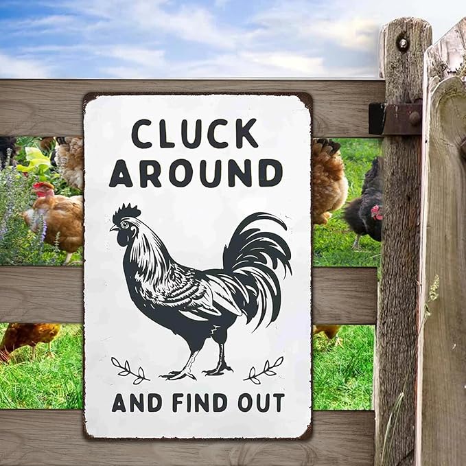2 pack Sign for Home Farm Chicken Coop & Welcome To Our Coop Funny Chicken Sign Farmhouse Kicthen Garden Decor Chicken Coop Sign Chicken Decor 12" * 8"
