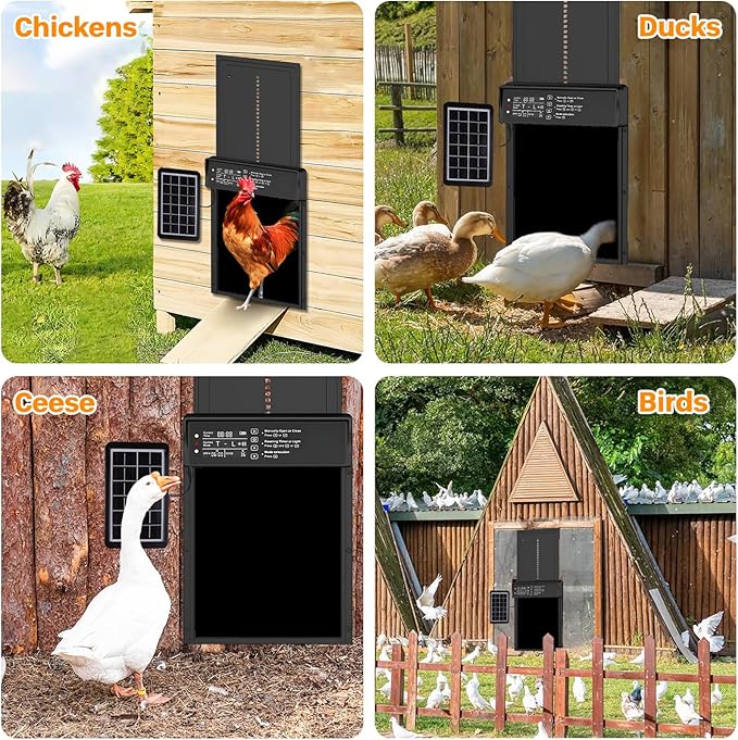 Solar Powered Automatic Chicken Coop Door,Solar Chicken Coop Door with Remote Control, LCD Display Automatic Chicken Door Function with Timer, Light Sensor, Anti-Pinch,Made of Aluminum Alloy and ABS