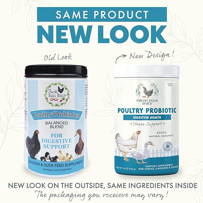 Fresh Eggs Daily Poultry Probiotics Feed Supplement – Natural Digestive & Immune Support for Chickens & Ducks – Enhances Egg Quality & Reduces Odor – 1 lb