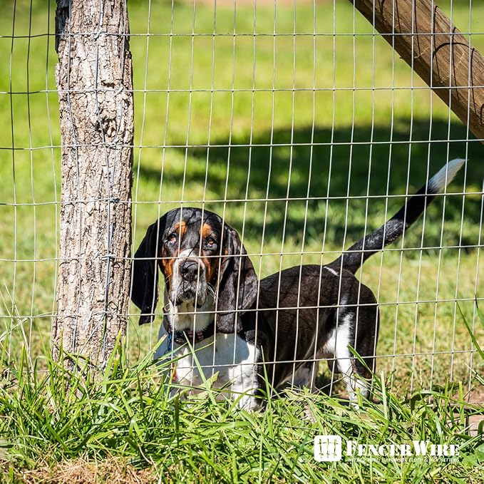 Fencer Wire Welded Wire Fence 12.5 Gauge, Galvanized Welded Fence Wire Roll, Mesh Size 2-Inch x 4-Inch, Hog Wire Fencing Cage, Multiple Use for Home Improvement & Animals Enclosure (4ft. x 100ft.)