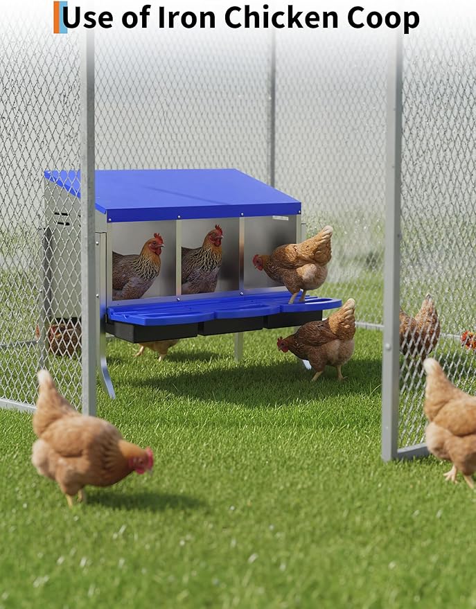 Chicken Nesting Boxes, 3 Hole Metal Rollaway Nest Box for Laying Hens with Cleanable Pull-Out Trays Wall Mount or Placed Design for Easy Egg Collection & Cleaning(Includes Legs)
