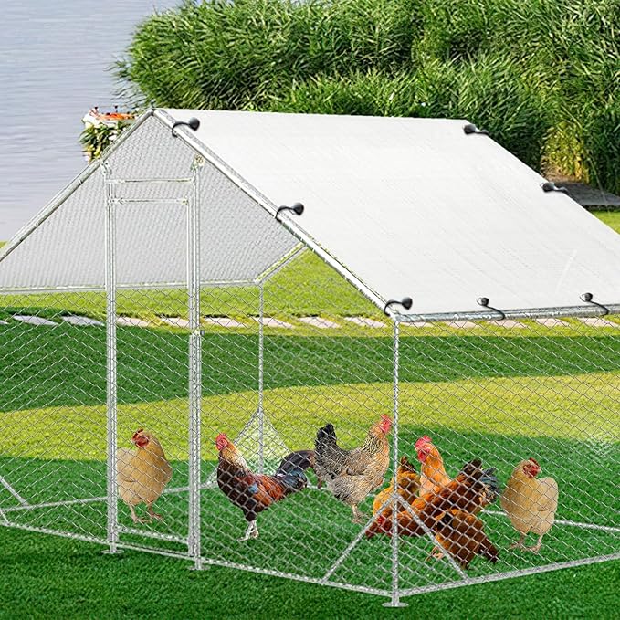 2 PCS Outdoor Chicken Coop Cover with 40 Piece Ball Bungee Cord ，Waterproof and Sunproof Enclosure Chicken Coop Tarp for Outdoor Large Walk-in Pens (only Cover,White, 11.5 x 6.5 ft)