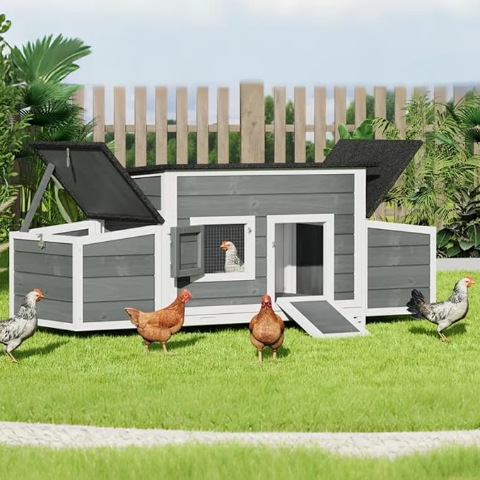 DWVO Solid Wood Chicken Coop for 4-6 Chickens, Outdoor Wooden Chicken Run Pen with 2 Nesting Boxes, Poultry Cage Rabbit Hutch Duck Coop Hen House w Weatherproof Roof & Removable Tray, Grey