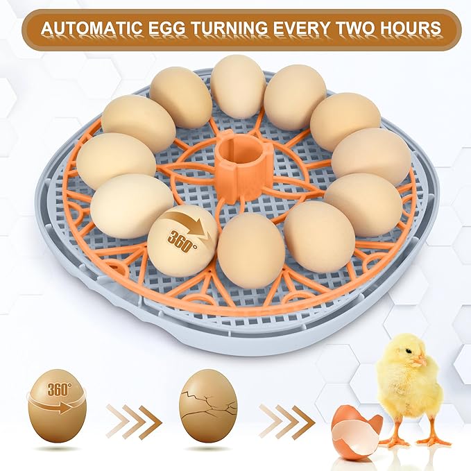 Smart Chicken Incubators for Hatching Eggs with Automatic Turner Small Poultry Duck Quail 12 Egg Incubator Temperature Control Display Hatcher Machine (Mechachick, ℉)