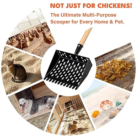 Chicken Poop Scooper for Sand, Extra Large Chicken Coop Scoop with 47" Handle & Assist Tool, 1.6mm Thick Heavy Duty Chicken Scooper for Poop, 2-in-1 Sifting Rake for Effortless Cleaning