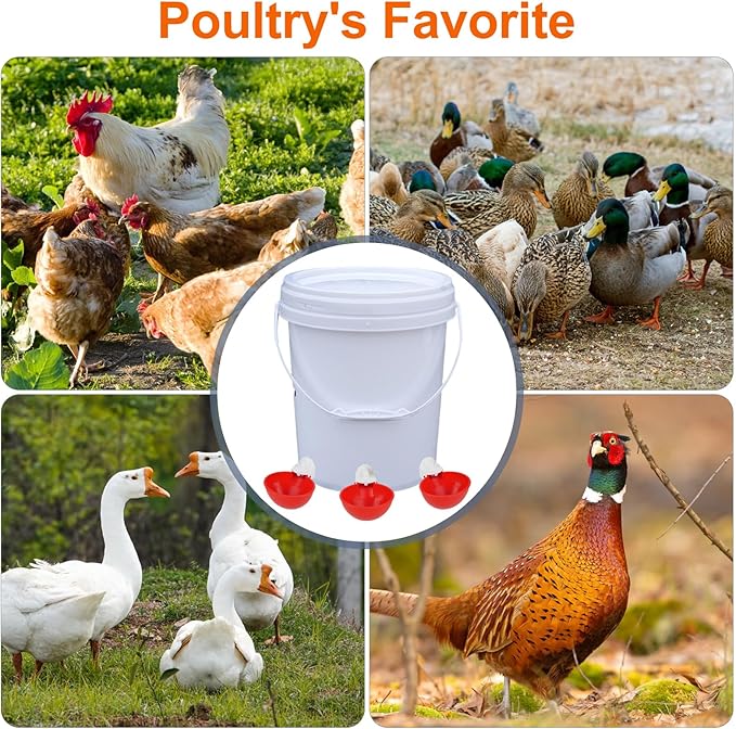 Automatic Chicken Waterer Cups, 6 Packs Large Chicken Water Feeder, Chicken Water Cups, Poultry Waterer Great for Duck, Chicken, Goose, Turkey, Bunny and Bird with Installing Drill