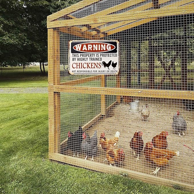 Funny Chicken Coop Sign - "Warning: Property Protected by Chickens" Decorative Metal Sign for Farm, Home, or Garden 12" * 8" (219)