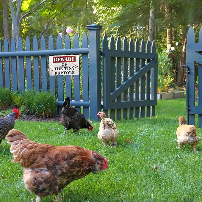 The Tiny Raptors Chicken Decor - Funny Wall Decor for Farmhouse, Garden, and Kitchen - Chicken Coop Accessories (8" x 12")