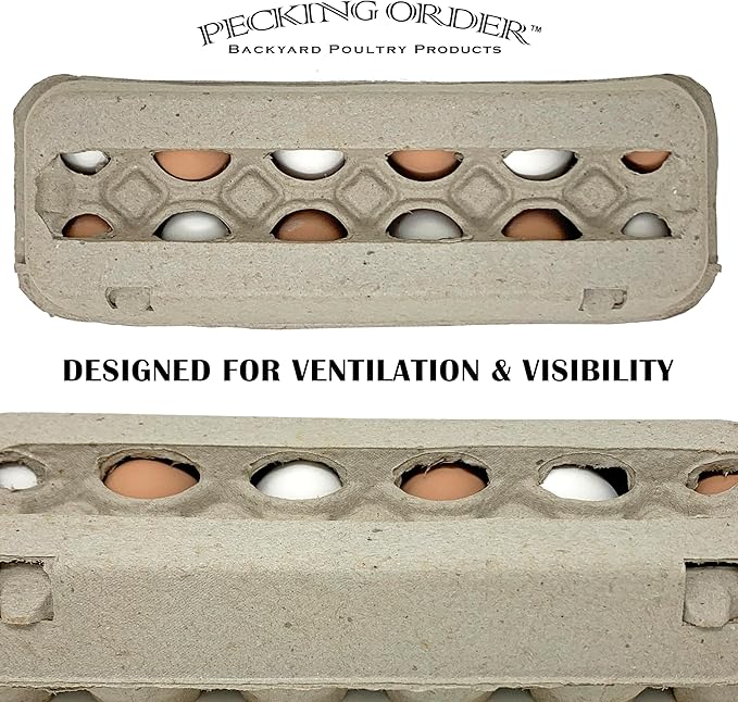 Paper Pulp Egg Cartons - 50 Pack