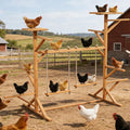 Large Wooden Chicken Perch Stand Roosting Bars with 2 Swings, Multi-Level Chicken Playground for Hens, Ducks & Pigeons, Sturdy Fir Wood Hens Jungle Gym for Coop or Backyard