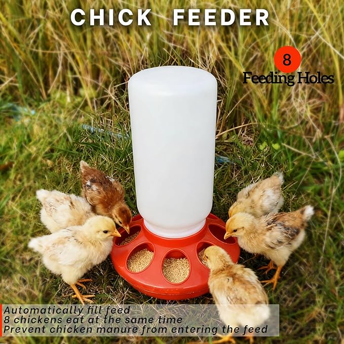 Chick Feeder and Waterer Kit,BrTurkey Duck Quail Poultry Feeder,Brooder Coop Supplies for Poultry,Included 5 Components