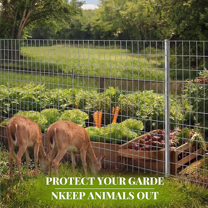 Gisafai 36in x 100ft Welded Wire Fence, 2 Inch x 4 Inch 16 GA, Galvanized Metal Garden Fence Roll Wire Mesh Netting for Goat Deer Cattle Animal Enclosures and Yard Vegetable Plant Protection,Silver