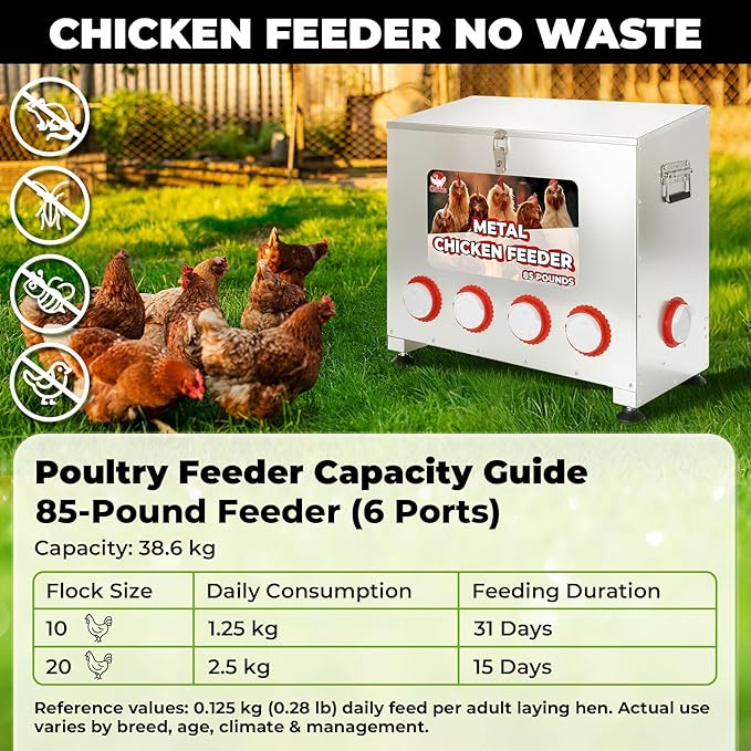 85 lbs 6-Port Galvanized Chicken Feeder No Waste with Locking Lid&Riveted Handles,Adjustable Height,Large Capacity Rainproof Automatic Chicken Feeders for Chickens, Poultry Coop,Silver