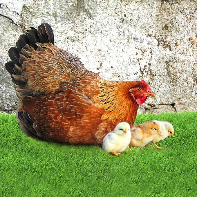 8 Pack Chicken Nesting Pads with Vegetable String Bag, 12"x12"x1.2" Washable Hen Coop Synthetic Turf Mat, Artificial Nest Box Bedding Grass Rug Carpet for Laying Eggs, Garden Lawn