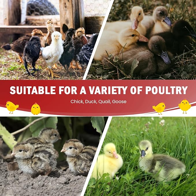 Chicken Brooder Box for Chick Starter Kit Upgrade Three-Sided Mesh Window Brooder Box for Chicks, Pop-Up Brooder Pen, Tent Up to 15 Chick, Duck and Quail