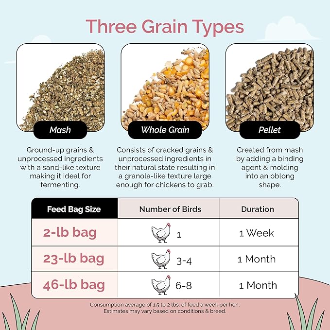Mile Four Organic Layer Chicken Feed Kit | Feeds 10 Layer (20+ Weeks) Chickens for 4 Weeks | Feed (69 lb), Grit (12 lb), Oyster Shell (16 lb) | Mash