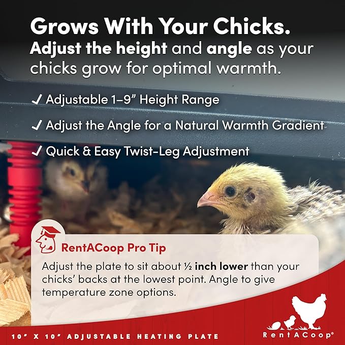 RentACoop 10x10” Heating Plate with Hard Anti-Roost Cone Set and Removable Comfort Feathers – Chick Brooder Heat Plate Warms Up to 15 Chicks – Energy Efficient - Safer Than Heat Lamps