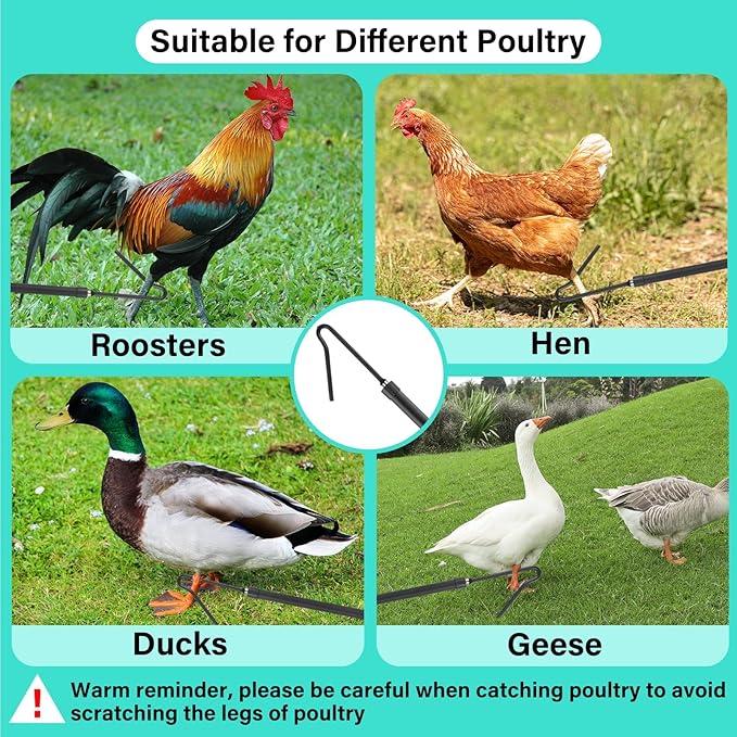 Chicken Catching Net Telescopic,36 to 63 in Chicken Catcher Leg Hook Grabber Tool with Extension Pole Long Handle Animal Catcher Pole Heavy Duty Metal Tube Poultry Hook Fowl Catcher Sturdy