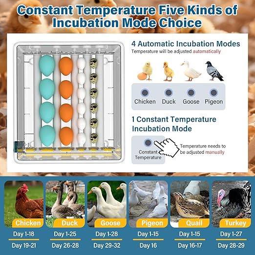 120 Egg Incubator Automatic Turning LED Display Temperature Humidity Control Built-in Candler External Water Fill Duals Power 110V/12V for Hatching Chicken Duck Quail Goose Eggs