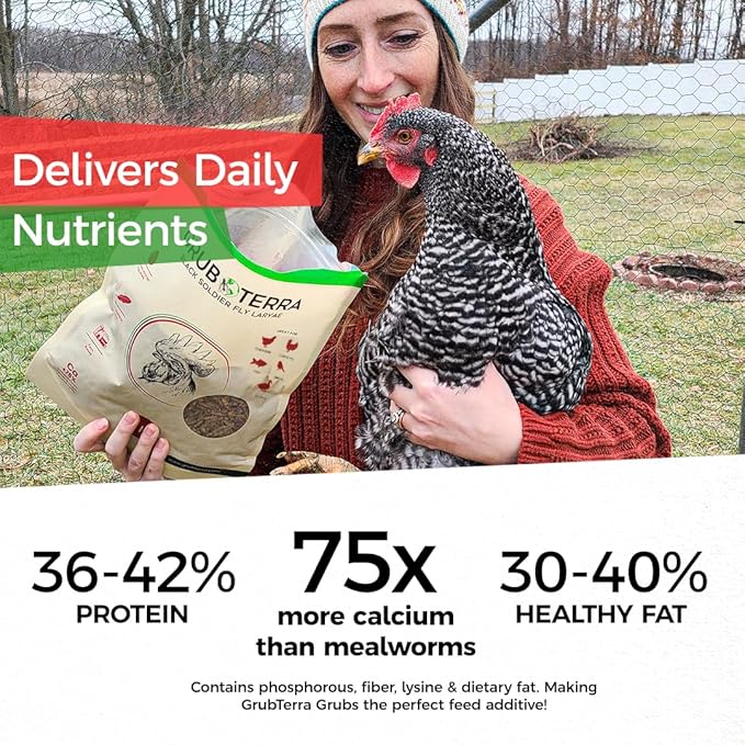 GrubTerra Black Soldier Fly Larvae for Chickens – Dried BSFL Poultry Treat, High Protein Calcium Feed Supplement for Laying Hens, Backyard Chickens, Sourced from Mexico, Not from China - 2LB