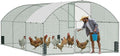 Large Metal Chicken Coop, Walk-in Chicken Run with Feeding Door, Security Lock and Cover, Outdoor Duck/Rabbit Cage Poultry Pen for Backyard, Farm, Yard (Silver - Dome Roof, 19.7 x 9.8 x 6.6 FT)