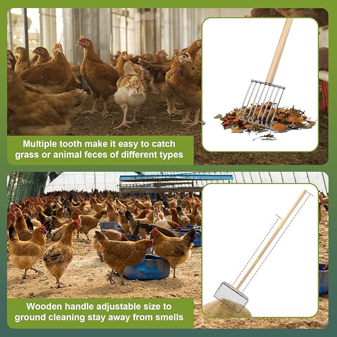 succulentlovers 2 Pack Chicken Poop Scooper & Chicken Coop Rake, Large Metal Chicken Scoop 3 in 1 Sifting Shovel Wooden Handle, Detachable Chicken Coop Cleaning Tools for Chicken Coop Accessories