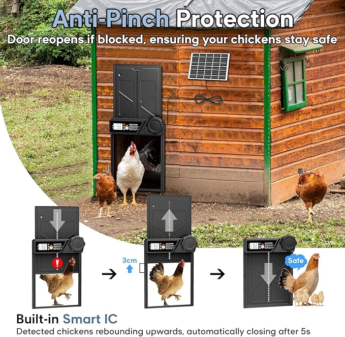 Large Size Automatic Chicken Coop Door Solar Powered Auto Chicken Door Opener, Timer Modes for Safe and Convenient Chicken Keeping with Intelligent Obstacle Sensors, Remote Control