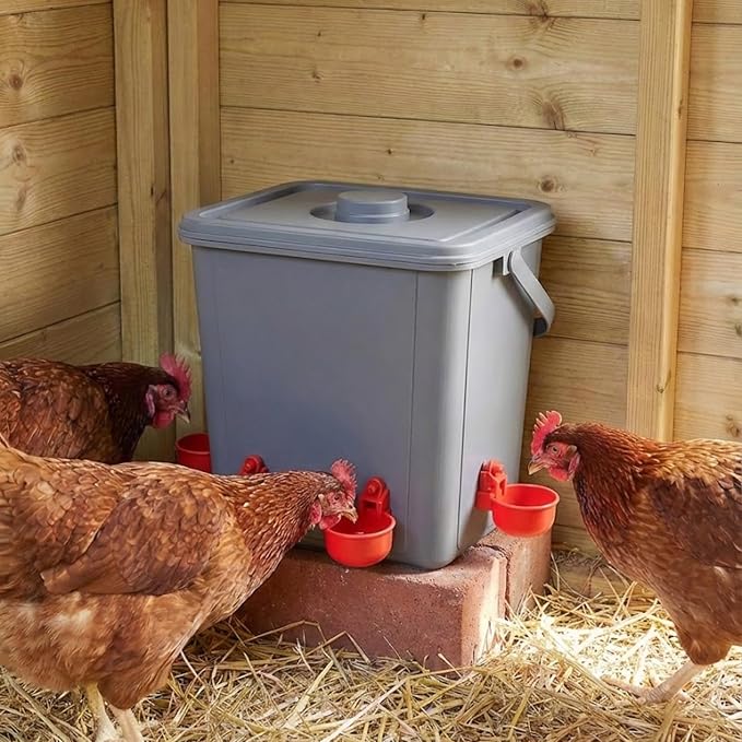 Chicken Feeder and Waterer Set (2.6 Gallon / 10L) – Square Automatic Poultry Dispenser Kit – Gravity Feed Ports & Drinking Cups – Durable Coop Accessories for Hens & Ducks (Grey)