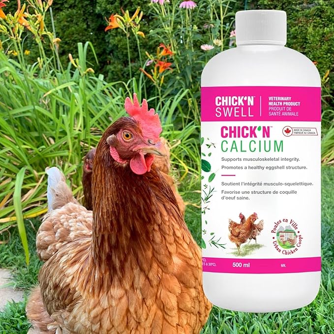 Premium Poultry Calcium Supplement for Bone Health & Egg Production-Chick’N Calcium from Chick’N Swell Brand- for All Poultry. 16.8 oz
