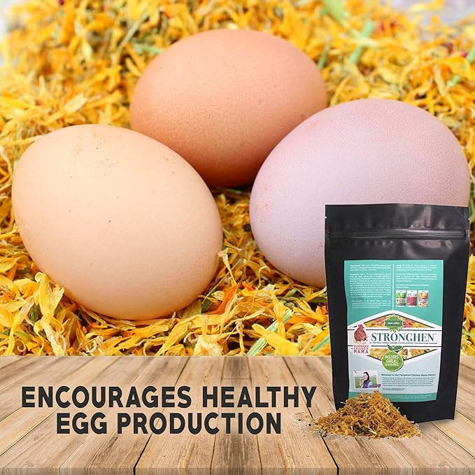 Backyard Chicken Nesting Herbs All Natural Feeding Supplement to Support Healthy Immune Systems (StrongHen) (5 Ounces)