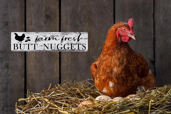 CSWLJS Chicken Coop Accessories Chicken Decor Farm House Decorations For Rustic Home Kitchen Signs Wall Decor Rustic Hen Farmhouse 4x16 In