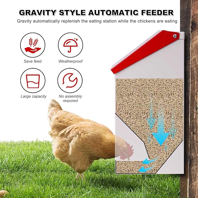 Automatic Metal Chicken Feeder Galvanized Poultry Feeder with Lid Outdoor Wall Mount Chicken Food Dispenser Gravity Fed Chicken Feeder Weatherproof No Waste Quail Duck Feeder (10LBS)