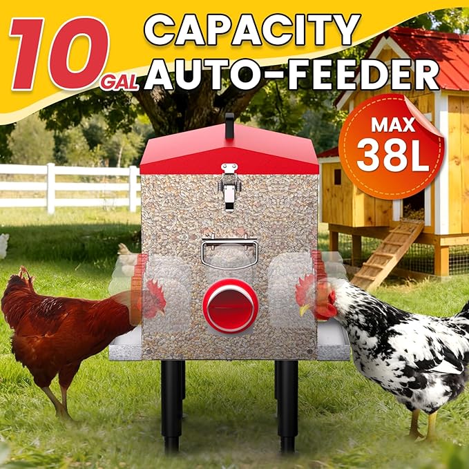 10-Gal 55LB Metal Chicken Feeder with Window, Dual No-Waste & Rat-Proof Design, Automatic Large Chicken Feeder for Outdoor Coops, Rust-Proof Alloy Steel Poultry Feeder with Adjustable Legs