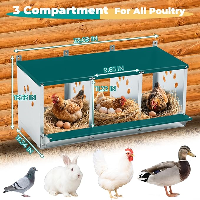 Chicken Nesting Box for Laying Eggs, Metal Chicken Laying Boxes Wall Mountable, Easy Egg Collection Roll Away Nesting Boxes Chicken, Chicken Coop Nesting Boxes for Hens, 3 Compartments