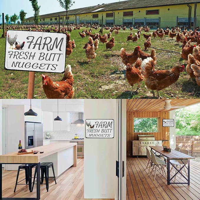 Funny Chicken Sign Gift 2 Pack Ouffun Farm Fresh Butt Nuggets Tin Sign for Home Farm Chicken Coop Farmhouse Kitchen Garden Decor 8 X 12 Inch