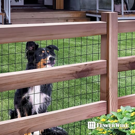 Fencer Wire 16 Gauge Green Vinyl Coated Welded Wire Mesh Size 2 inch X 3 inch, Black, 3x50 ft