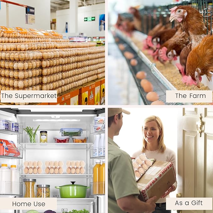 50 Pack Plastic Egg Cartons Cheap Bulk,12 Count Clear Empty Egg Cartons for Fresh Chicken Eggs,2x6 Grids Reusable Egg Trays for Refrigerator Storage, Chicken Farm, Markets Display