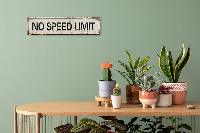 AWISZZZ No Speed Limit Signs Vintage Reproduction Funny Garage Man Cave Metal Sign Door Accessories Wall Decor Vintage Signs Retro Art Plaque for Garden Pub Coffee Hanging Decor 4x16 In