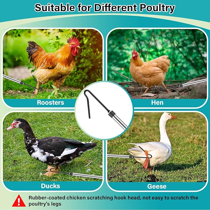 Chicken Catcher Net Telescopic,37 to 64 in Chicken Catcher Leg Hook Long Handle Animal Catcher Pole Heavy Duty with Stainless Steel Tube Extension Pole Poultry Hook Fowl Catcher Sturdy