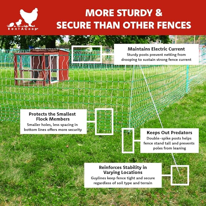 RentACoop Poultry Netting Electric Fence - Electric Poultry Enclosure for Chickens, Ducks, Turkeys - Suitable for 4 Week Old Chickens/Older and Adult Poultry - Energizer Not Included - 168' L x 48" H
