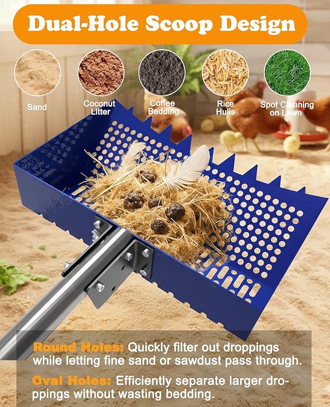 INNOLAND Chicken Poop Scooper & Rake with 3-Angle Adjustable Sifting Shovel, 12" Stainless Steel Chicken Coop Scoop for Sand, 22-64" No-Bend Poultry Litter Cleaner for Chicken Coop & Animals House
