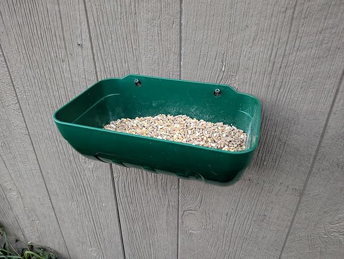 Hen's Choice™ Feeder and Waterer Trough for Chickens, Ducks, Goats, Sheep, Turkey, 4.5 Quart Capacity, Green