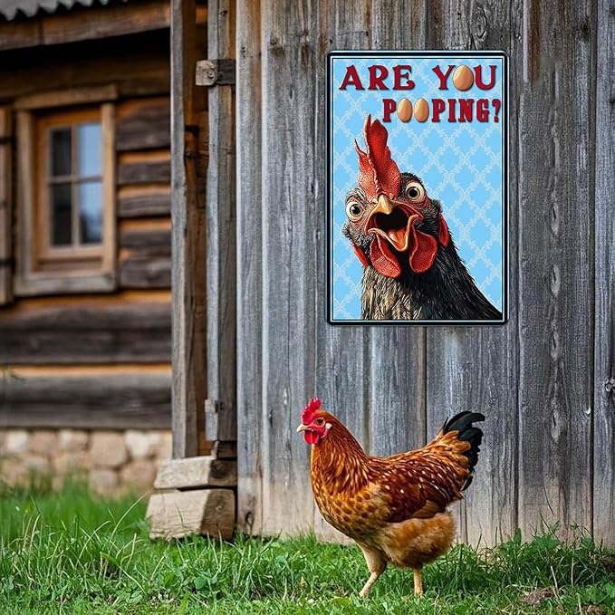 Funny Bathroom Signs Vintage Chicken Are You Pooping Metal Sign Home Chicken Toilet Wall Art Decor Humorous Restroom Kitchen Poster 12x16 Inch