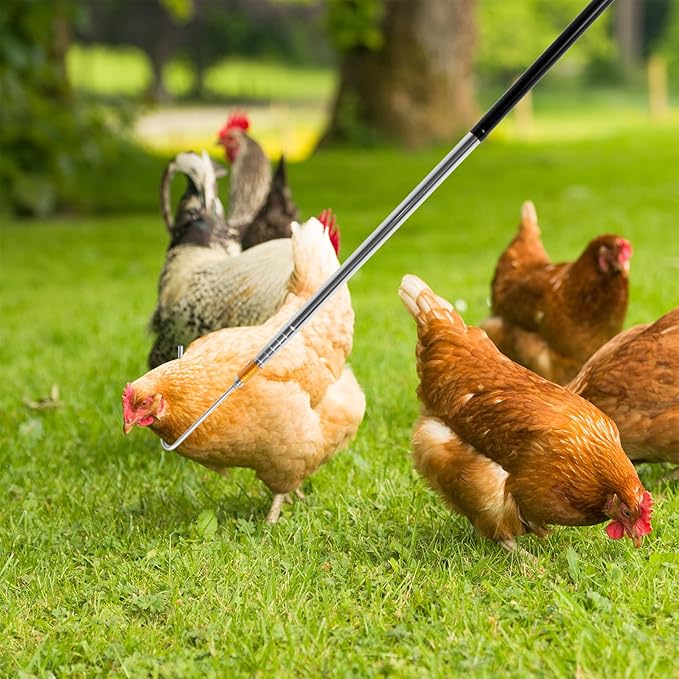 Telescopic Chicken Net and Chicken Catcher Leg Hook, 58.5 Inch Long Chicken Net with Non Slip Rubber Handle Small Chicken Catching Net Poultry Hook Chicken Catcher with Hook Head for Outdoor