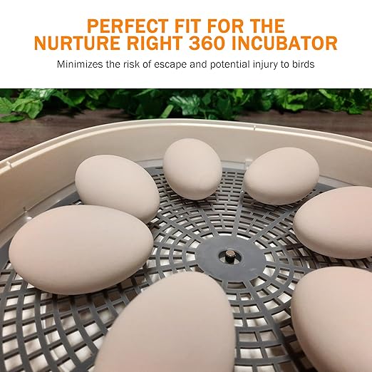 Incubator Warehouse 1.5" Riser for Nurture Right 360 Incubator - Nurture Right 360 Incubator Riser for Hatching Eggs - Durable Egg Incubators Riser with Easy Installation - Nurture Right 360 Riser